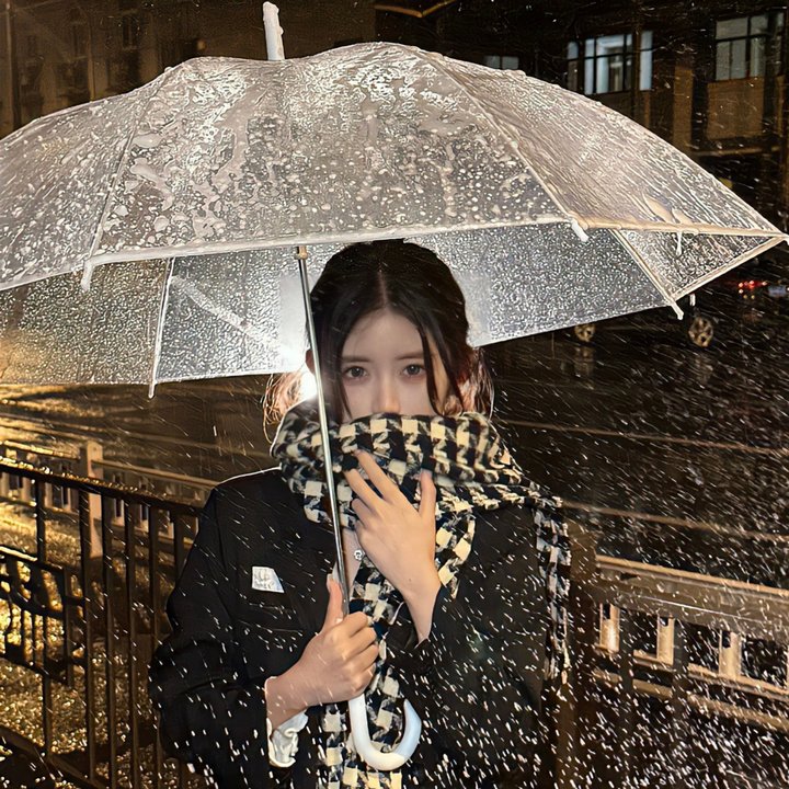 圆盘皇女 十二月夜想曲